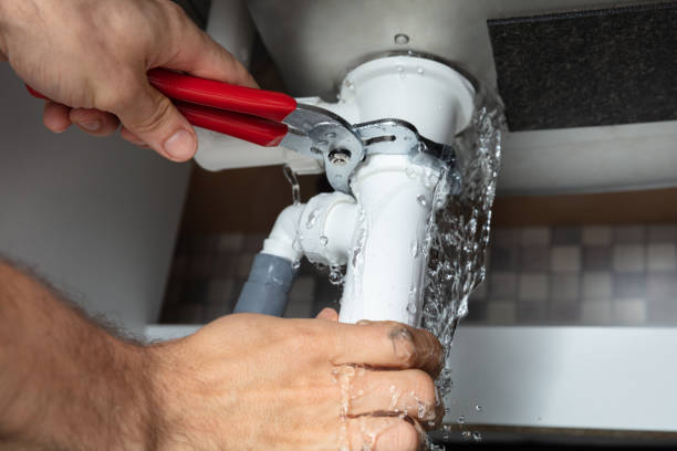 Best Water damage restoration near me  in Shelton, NE