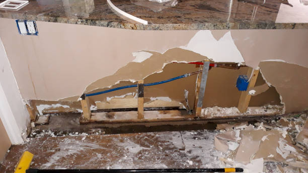 Best Ceiling water damage repair  in Shelton, NE