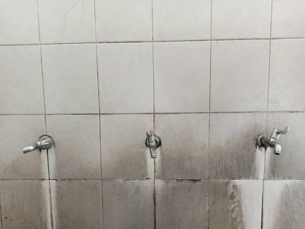 Best Carpet water damage restoration  in Shelton, NE