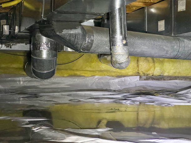 Best Emergency water damage restoration  in Shelton, NE