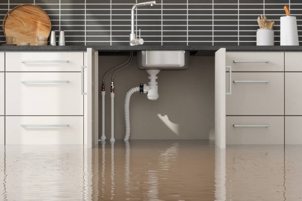 Best Water damage mitigation services  in Shelton, NE